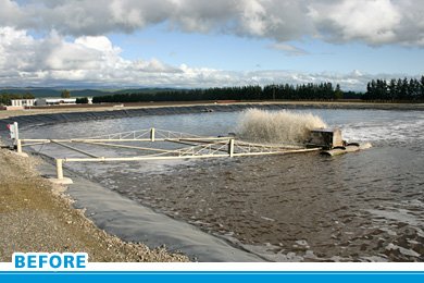 vineyard wastewater treatment