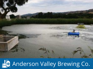 Anderson Valley Brewing Company