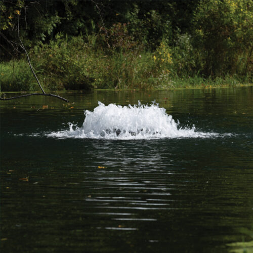 Freshwater Aeration - Image 2